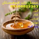 فروش عسل کوهستان09100027363در تهران و شهرستان کنار گون اویشن